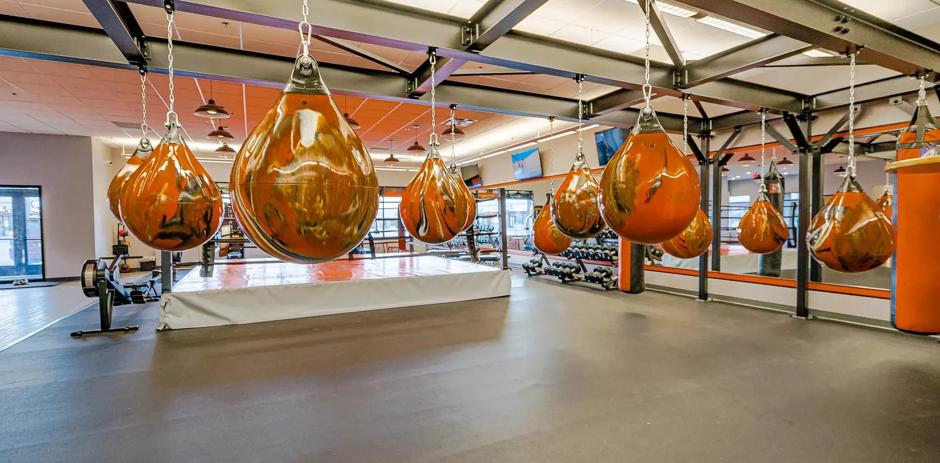 Main image of 3P Boxing 247