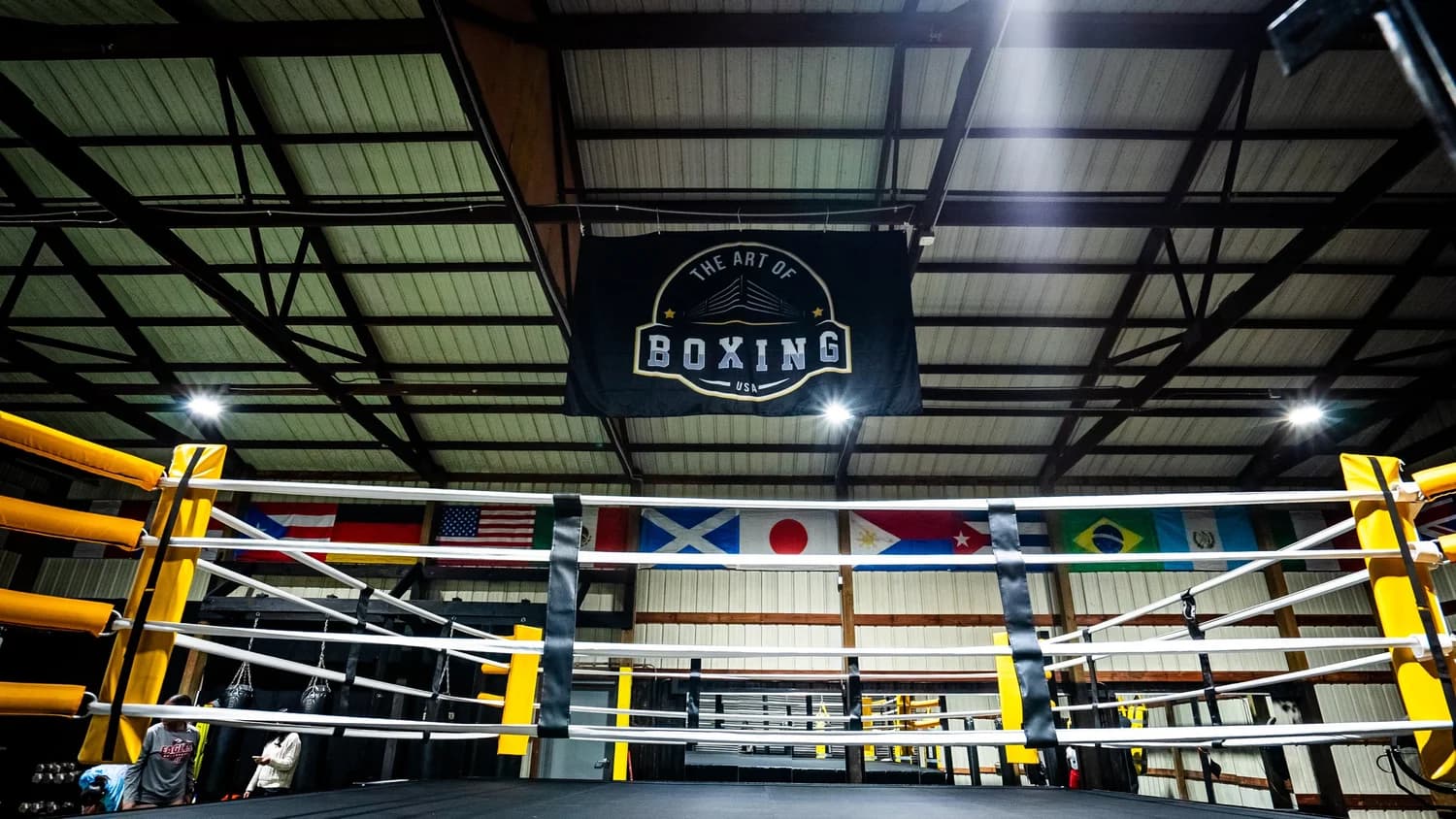 Main image of Art of Boxing USA