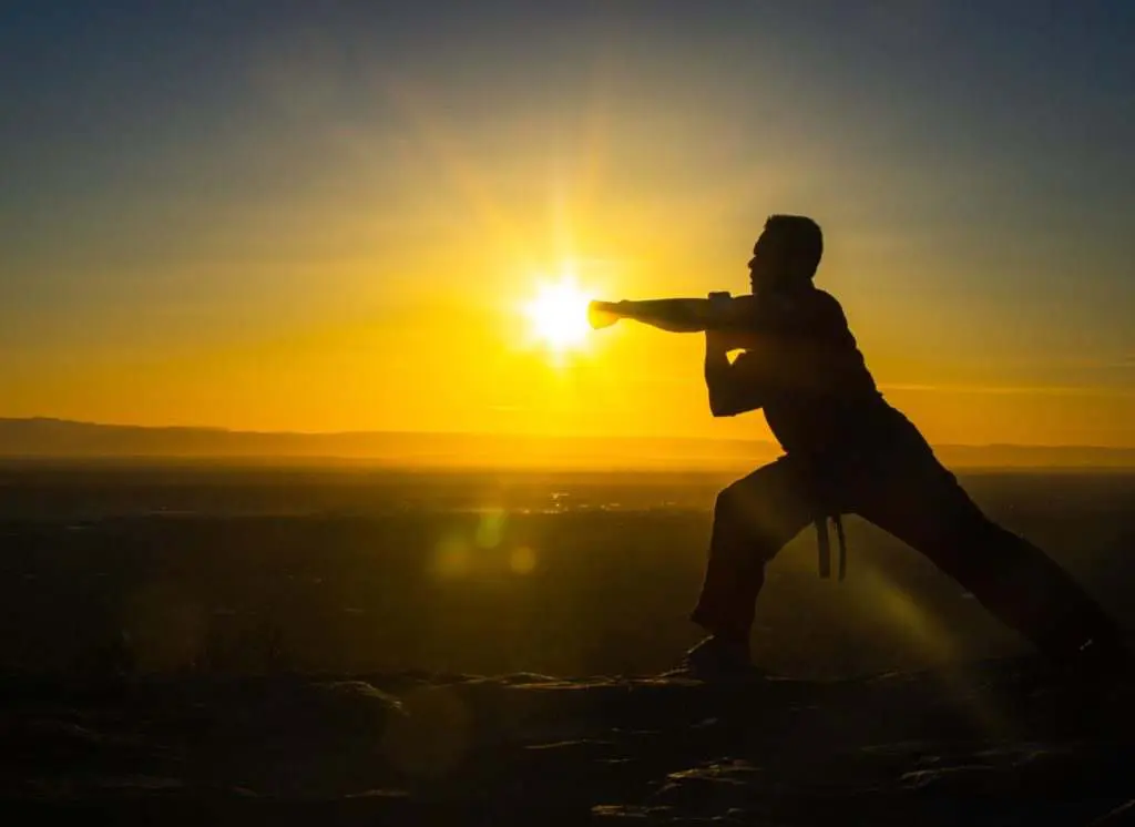 Main image of Empty Hand Combat
