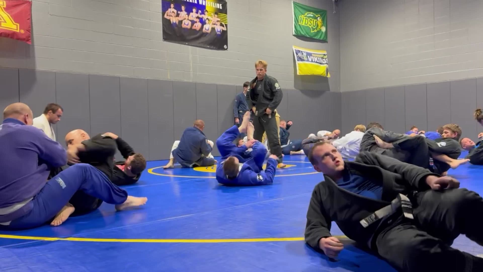 Main image of Hamel Jiu Jitsu Club