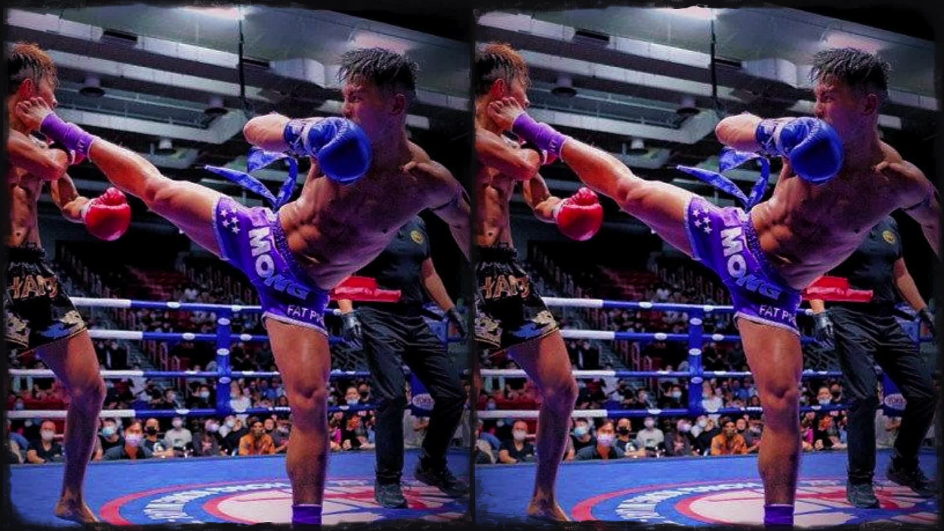Main image of Mong Muay Thai Gym