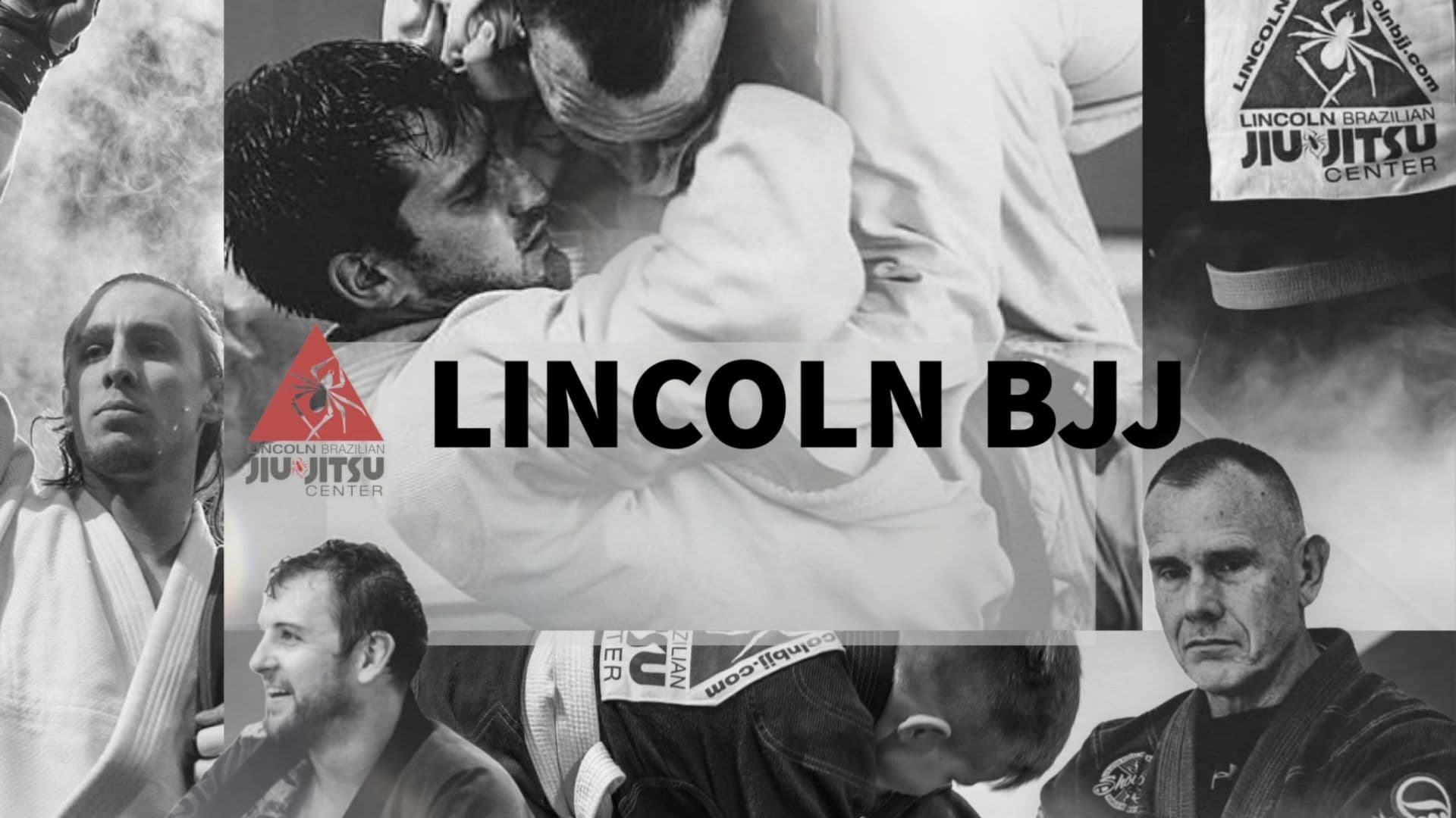 Main image of Lincoln Brazilian Jiu-Jitsu Center