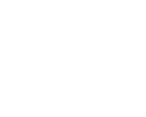 MD Self Defence Academy Cancún | Renzo Gracie logo