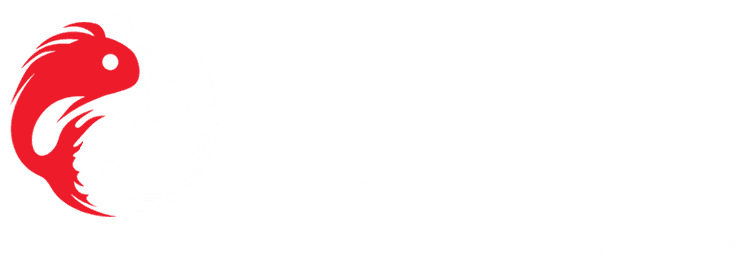 BETA Academy | Brazilian Jiu-Jitsu, Muay Thai & MMA logo
