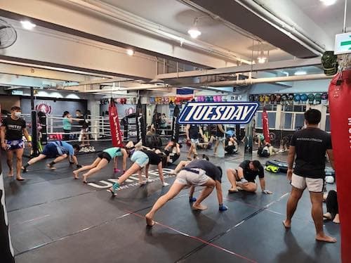 Main image of UNITED MUAY THAI & FITNESS GYM