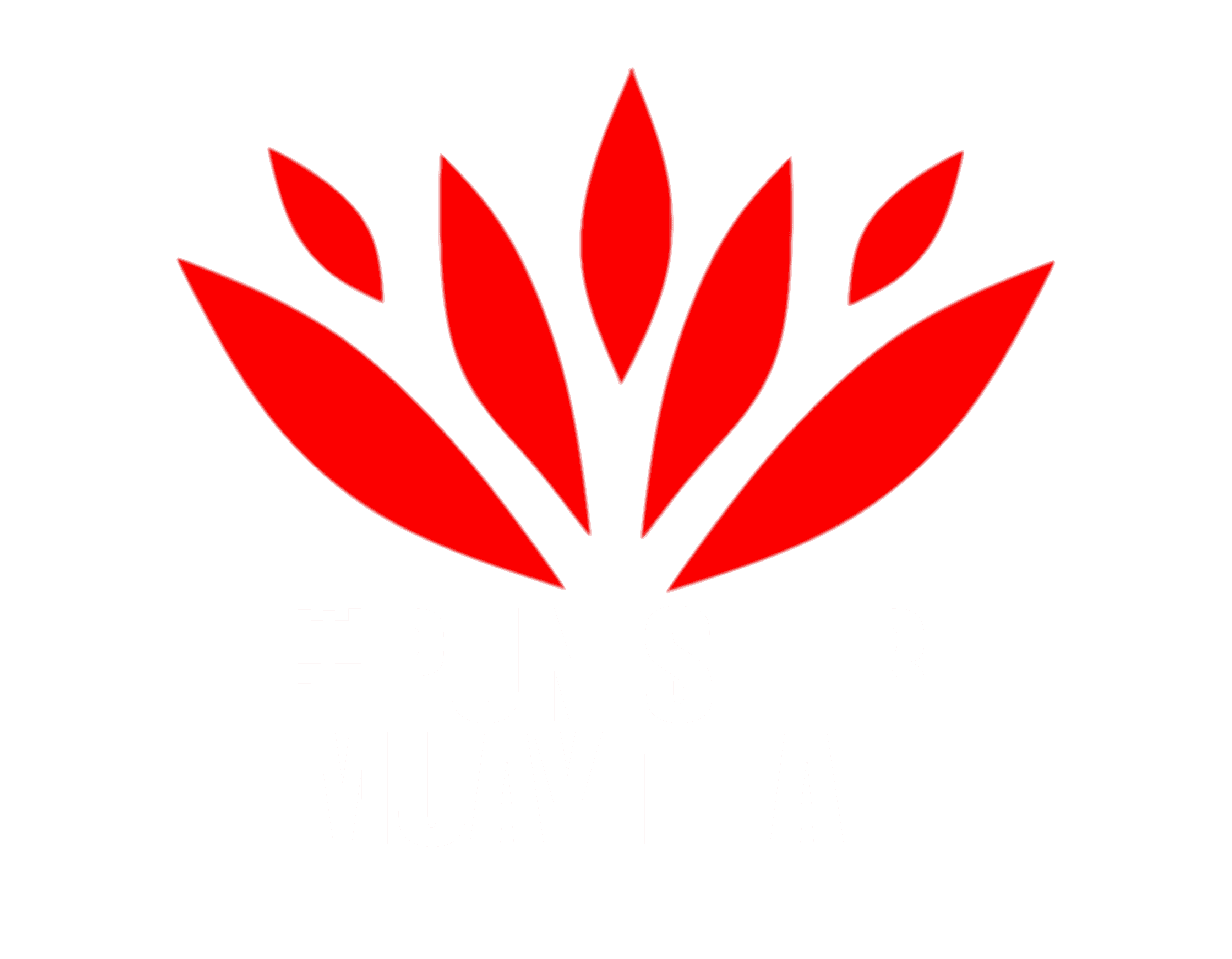 The Punisher Muay Thai logo