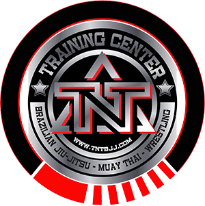 TNT MMA Training Center logo
