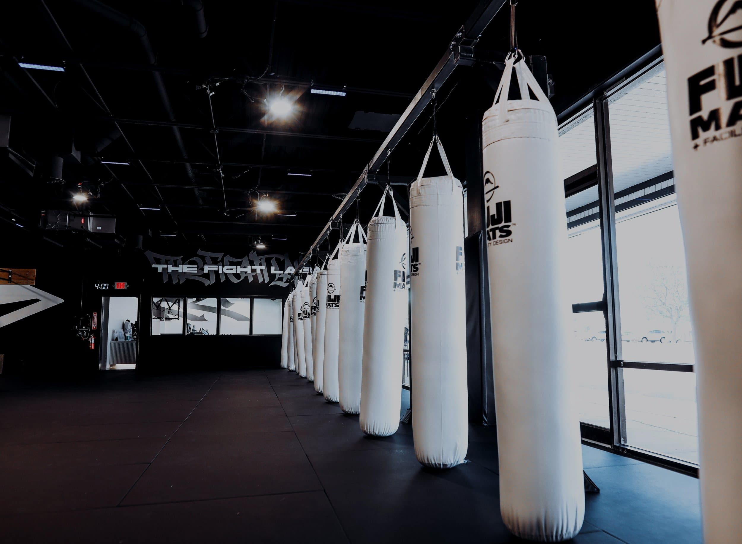 Main image of The Fight Lab by Lee Bros