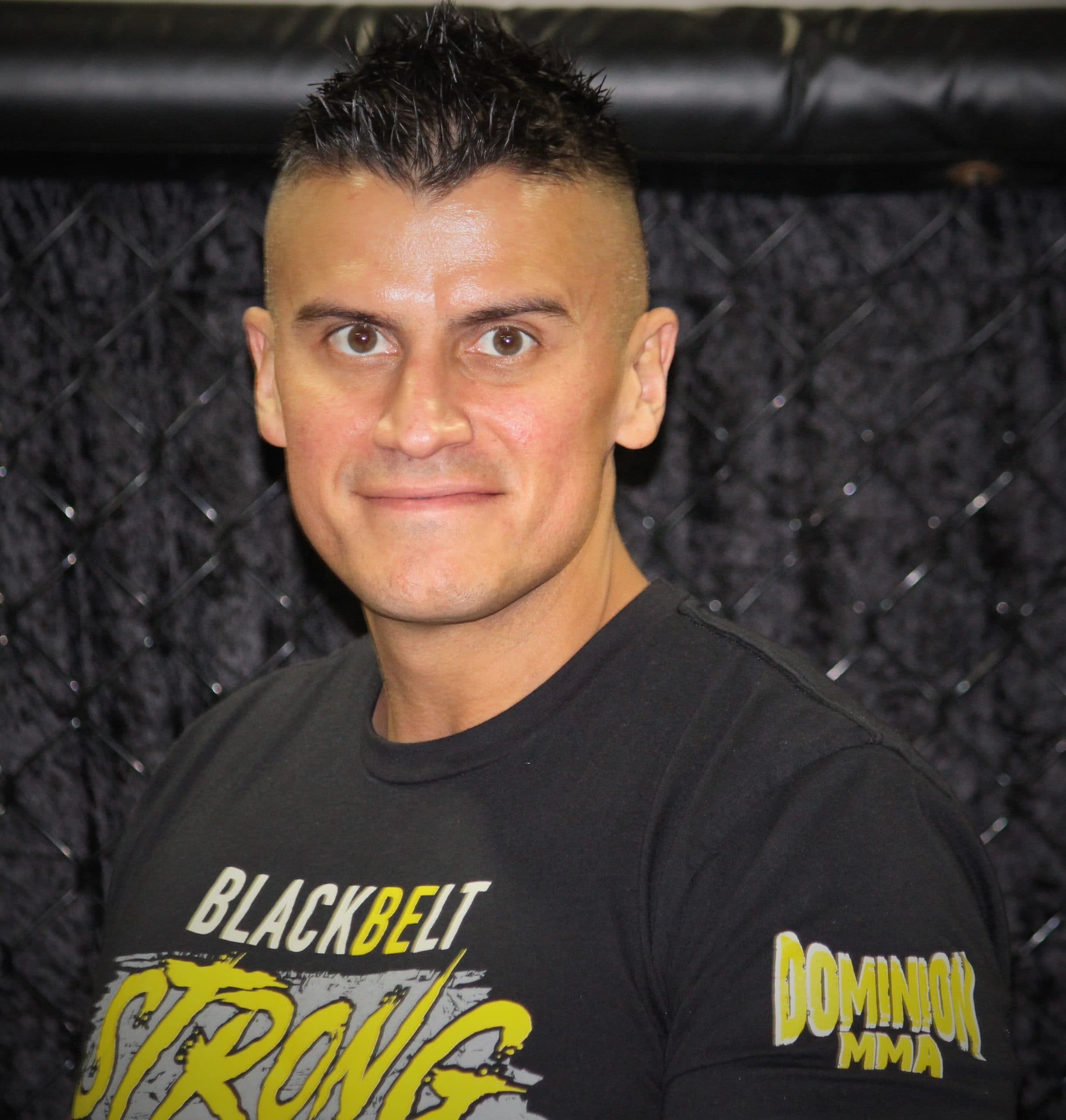 Main image of Dominion MMA