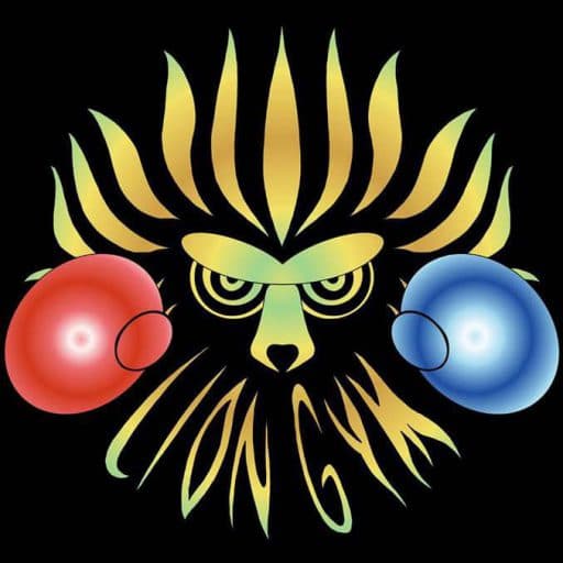 LION GYM logo