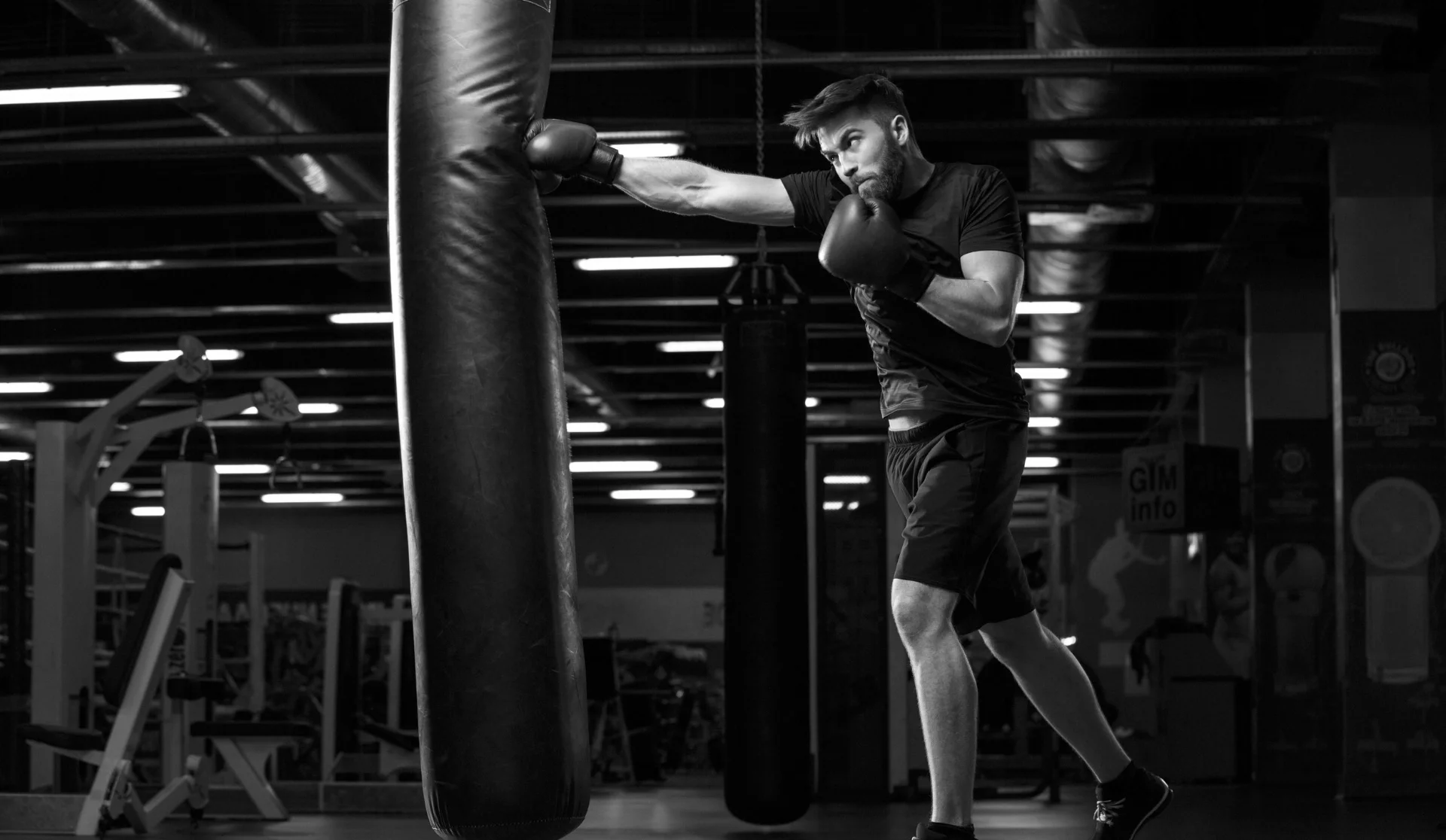 Main image of Westshore Boxing Gym
