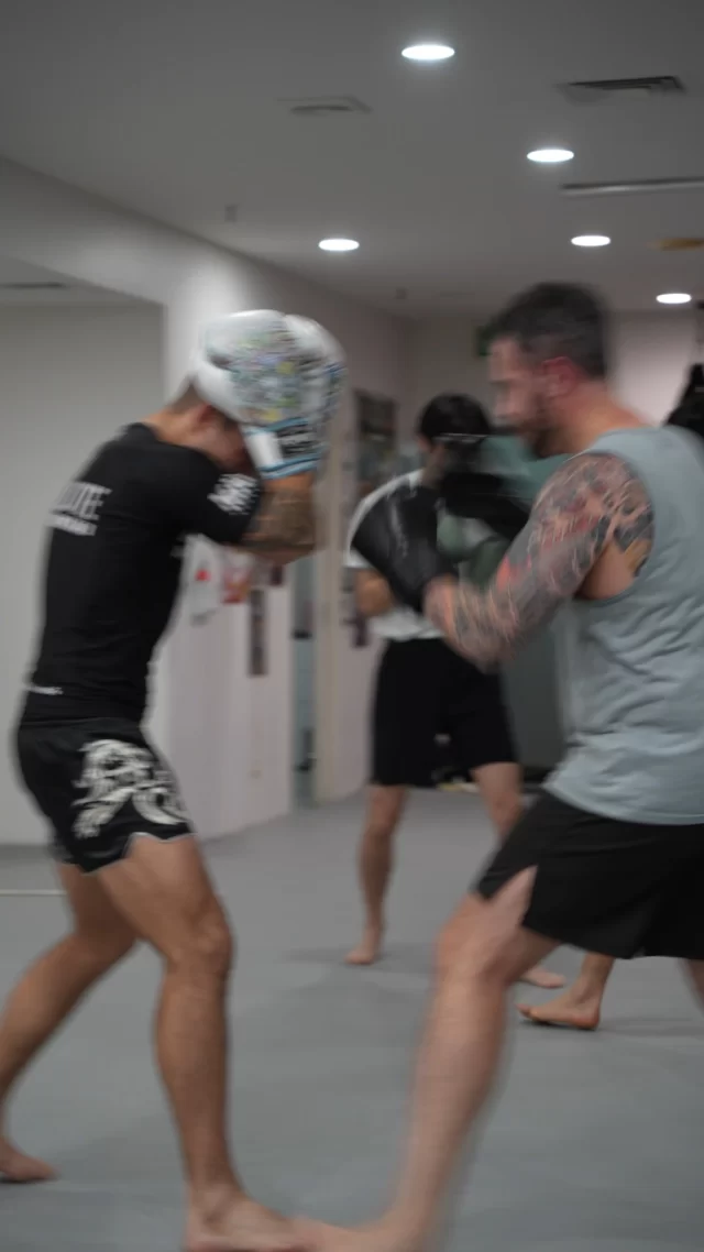 Main image of Absolute MMA St Kilda