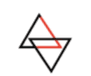 Adelaide Jiu Jitsu Academy logo