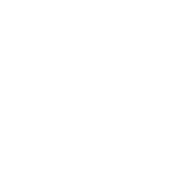 Hunos Jiu Jitsu logo