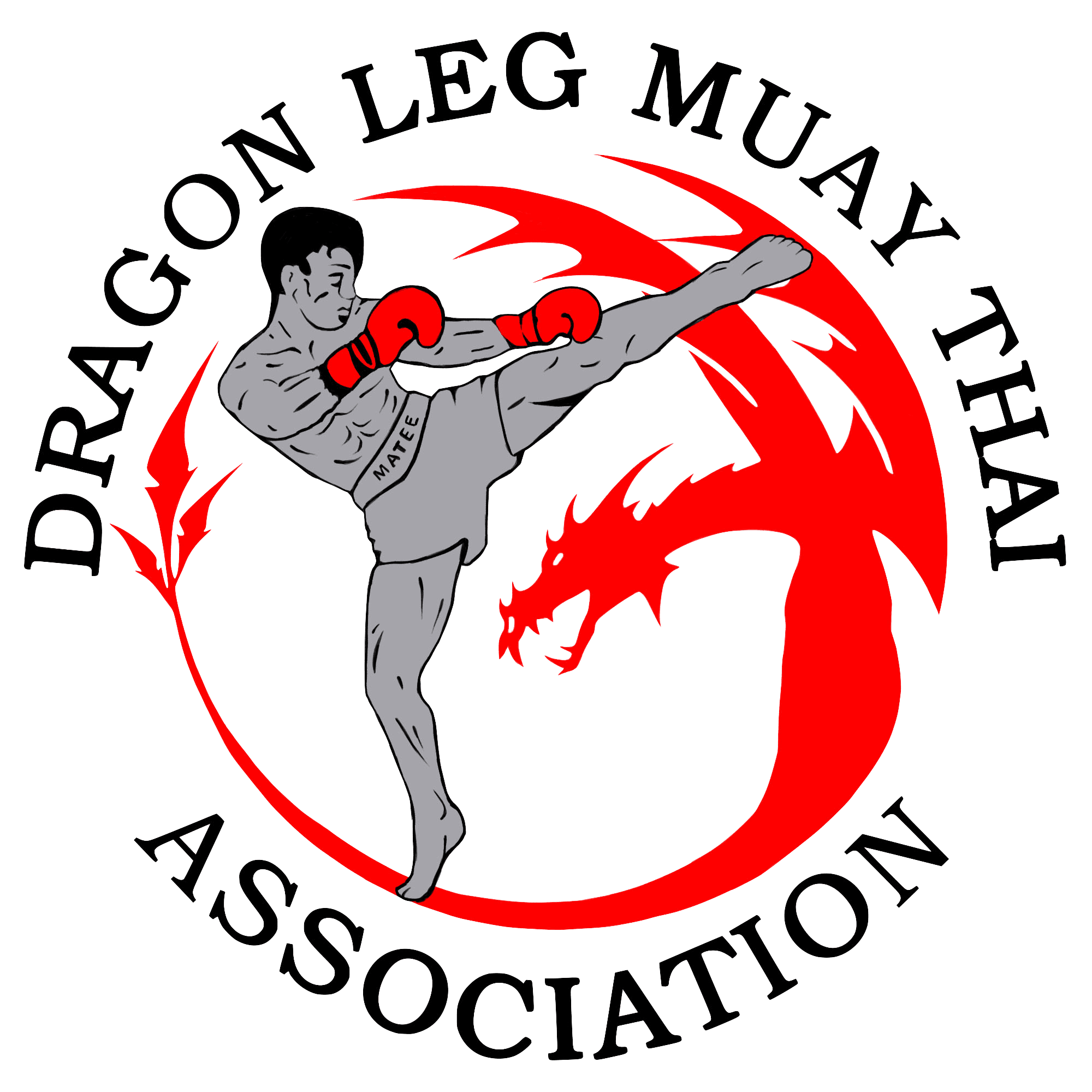 Dragon Leg Muay Thai Kickboxing Novi logo