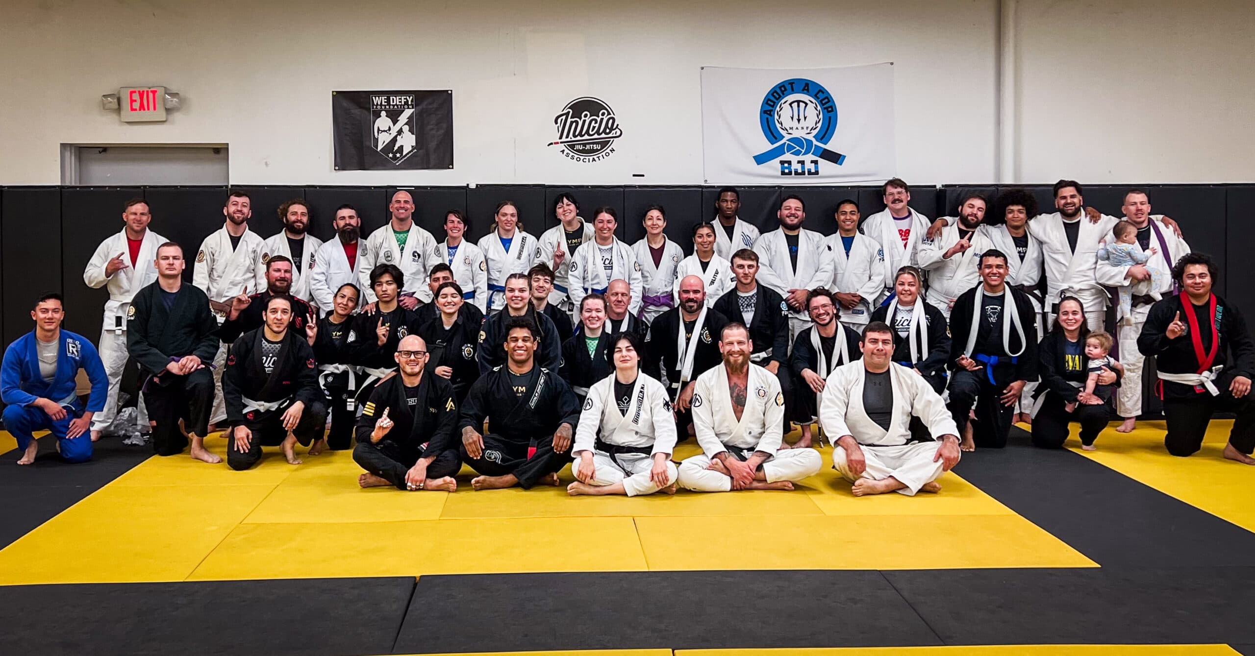 Olympic Brazilian Jiu Jitsu logo