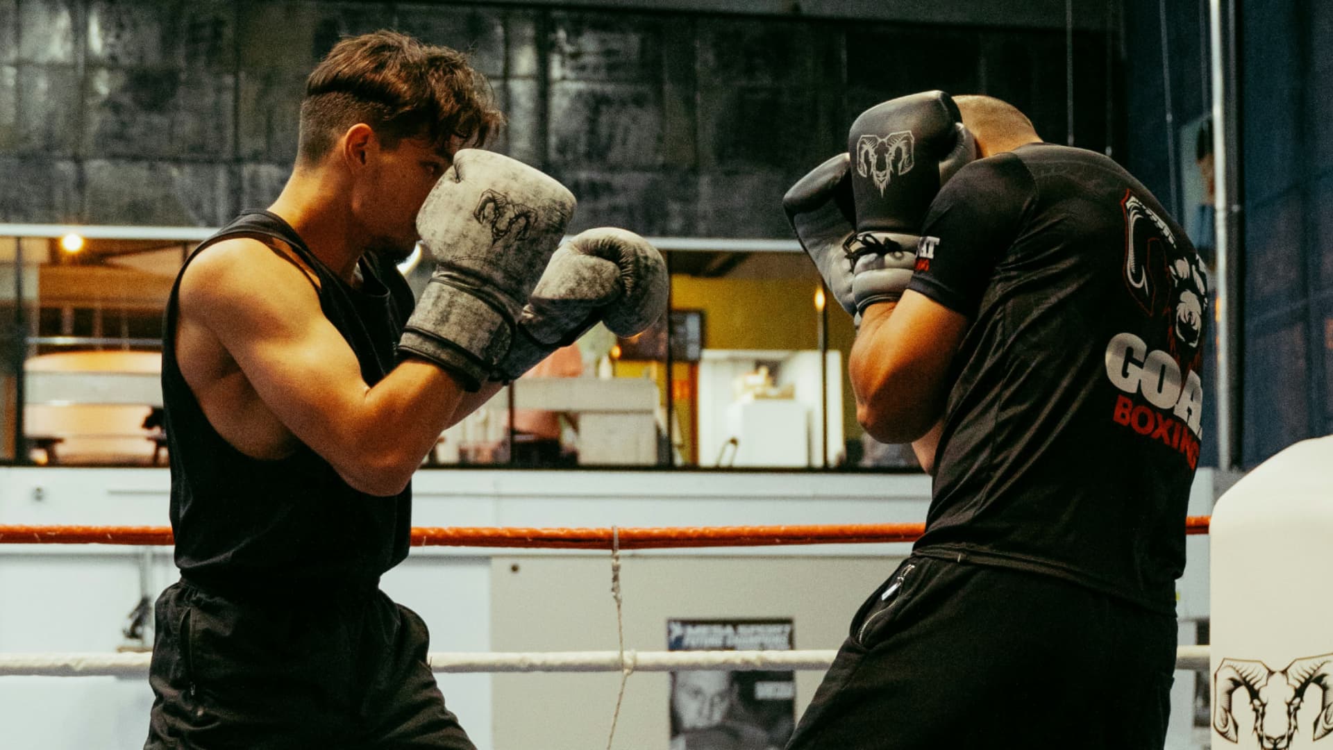 Main image of Marin Boxing Academy