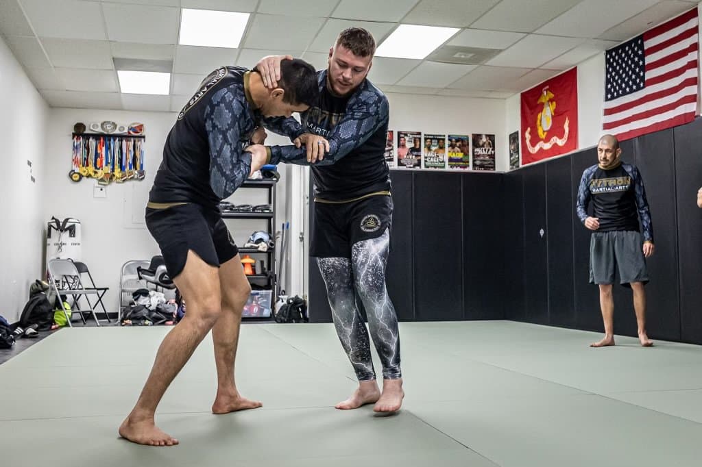 Main image of Python Martial Arts