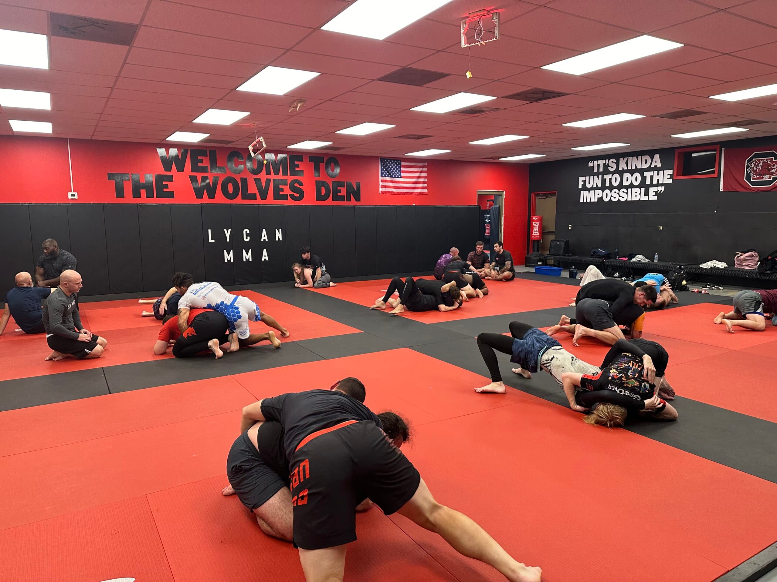 Main image of Lycan Mixed Martial Arts