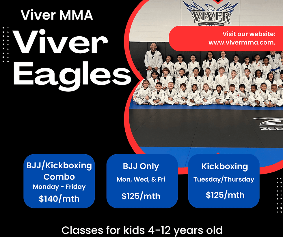 Main image of Viver MMA