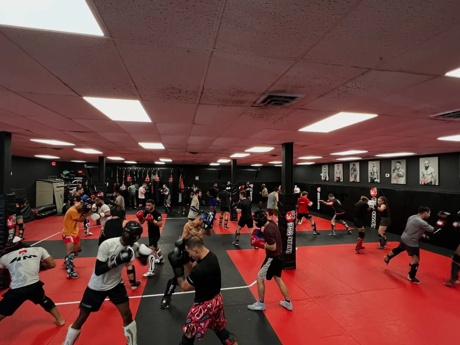 Main image of Kaizen MMA Fairfax