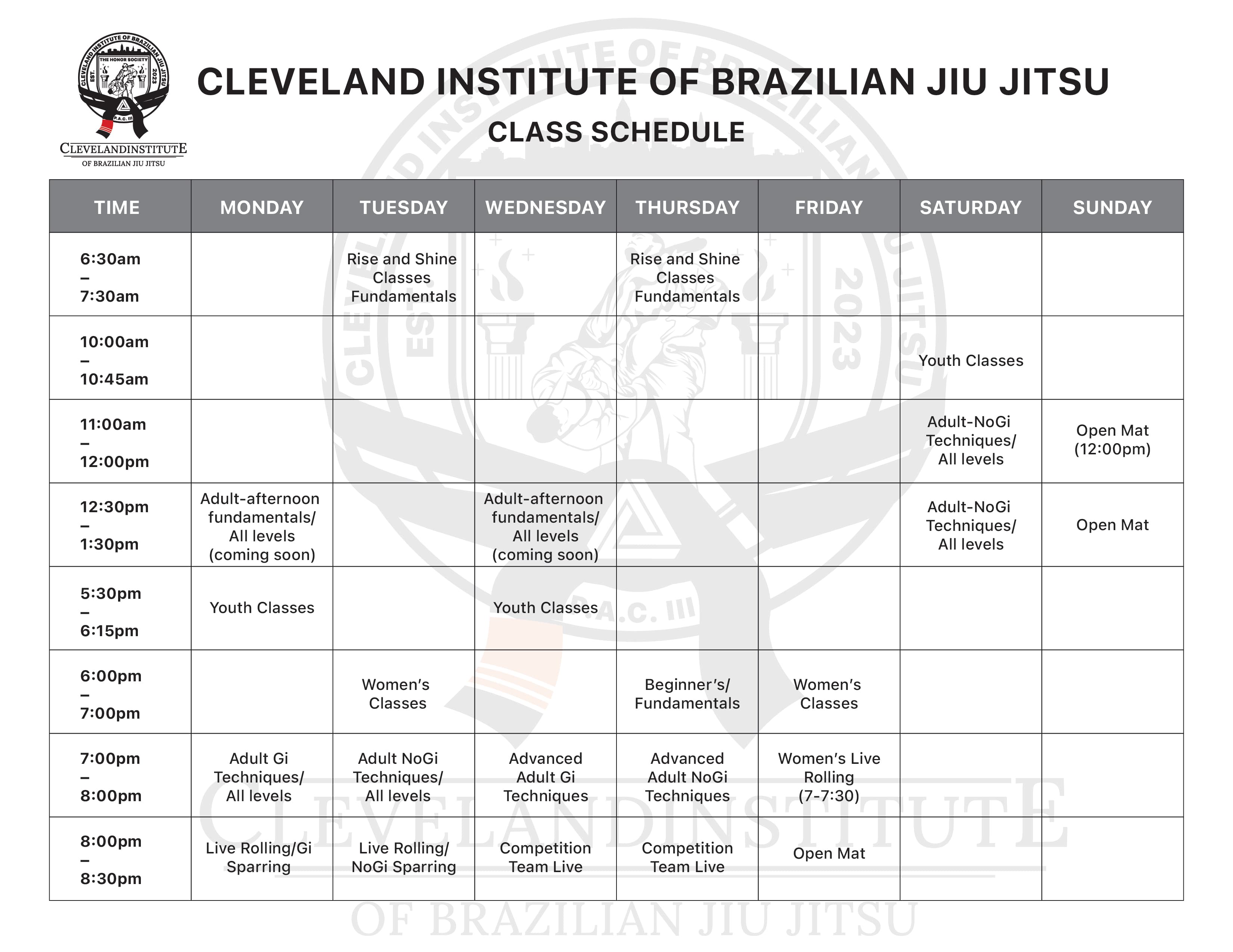Main image of Cleveland Institute of Brazilian Jiu Jitsu