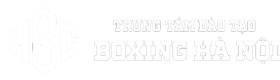 Trung Tâm Đào Tạo Boxing Hà Nội logo