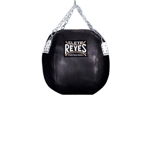 CENTRO DE ARTES MARCIALES AMEZCUAS TIJUANA logo