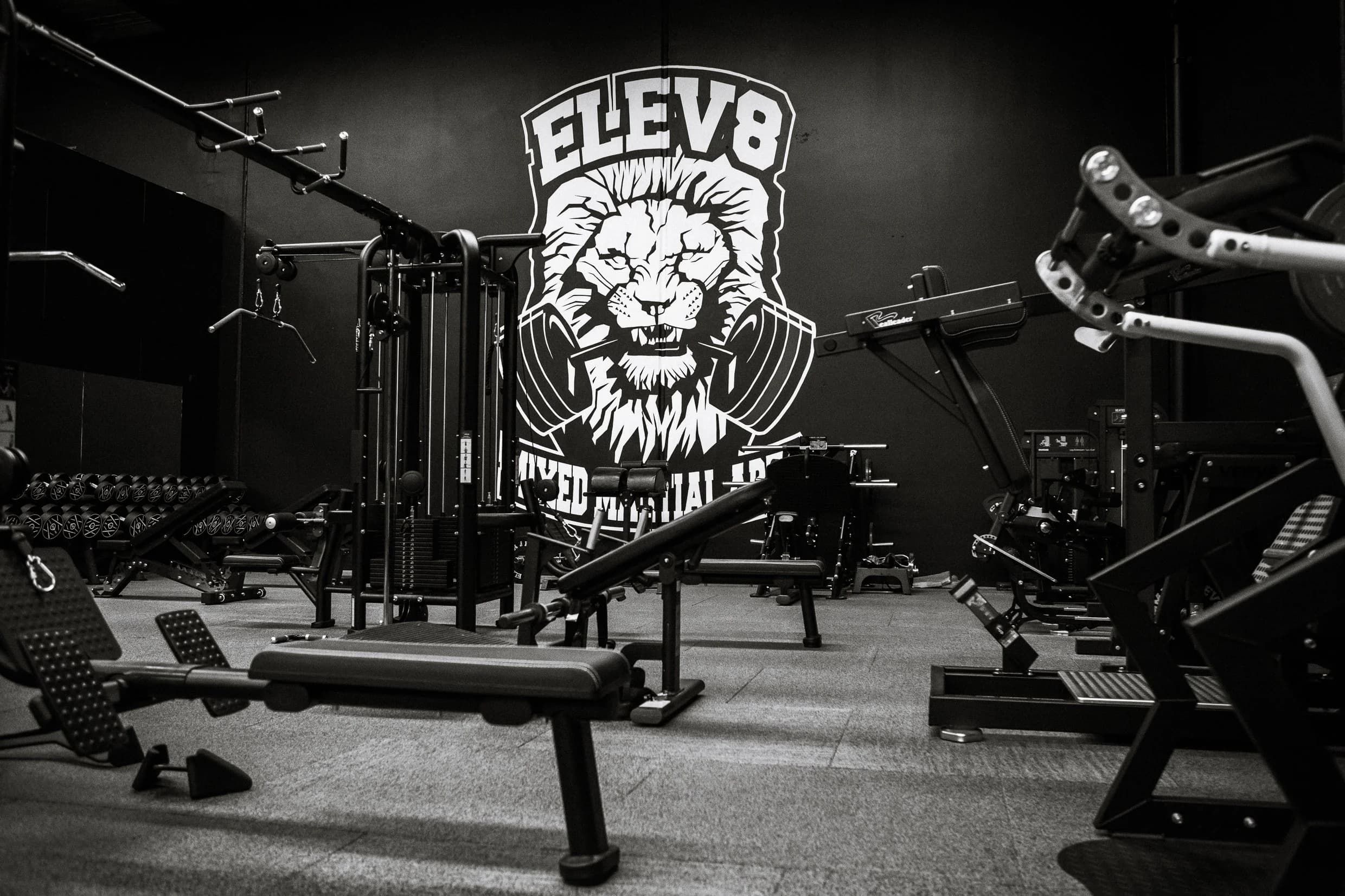 ELEV8 Mixed Martial Arts logo