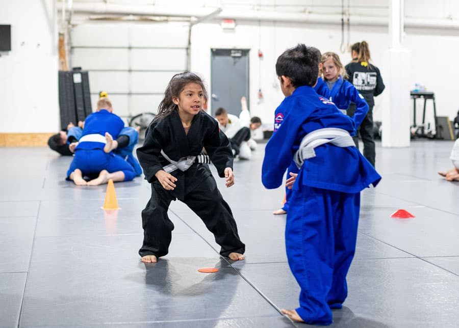 Main image of Lake County Brazilian Jiu-Jitsu
