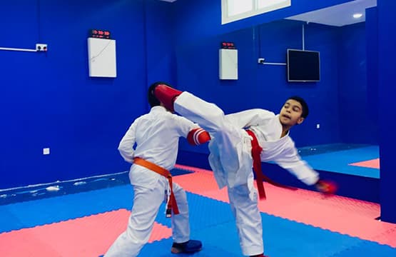 Main image of UNITED MARTIAL ARTS ACADEMY INTERNATIONAL