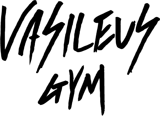 VASILEUS GYM logo