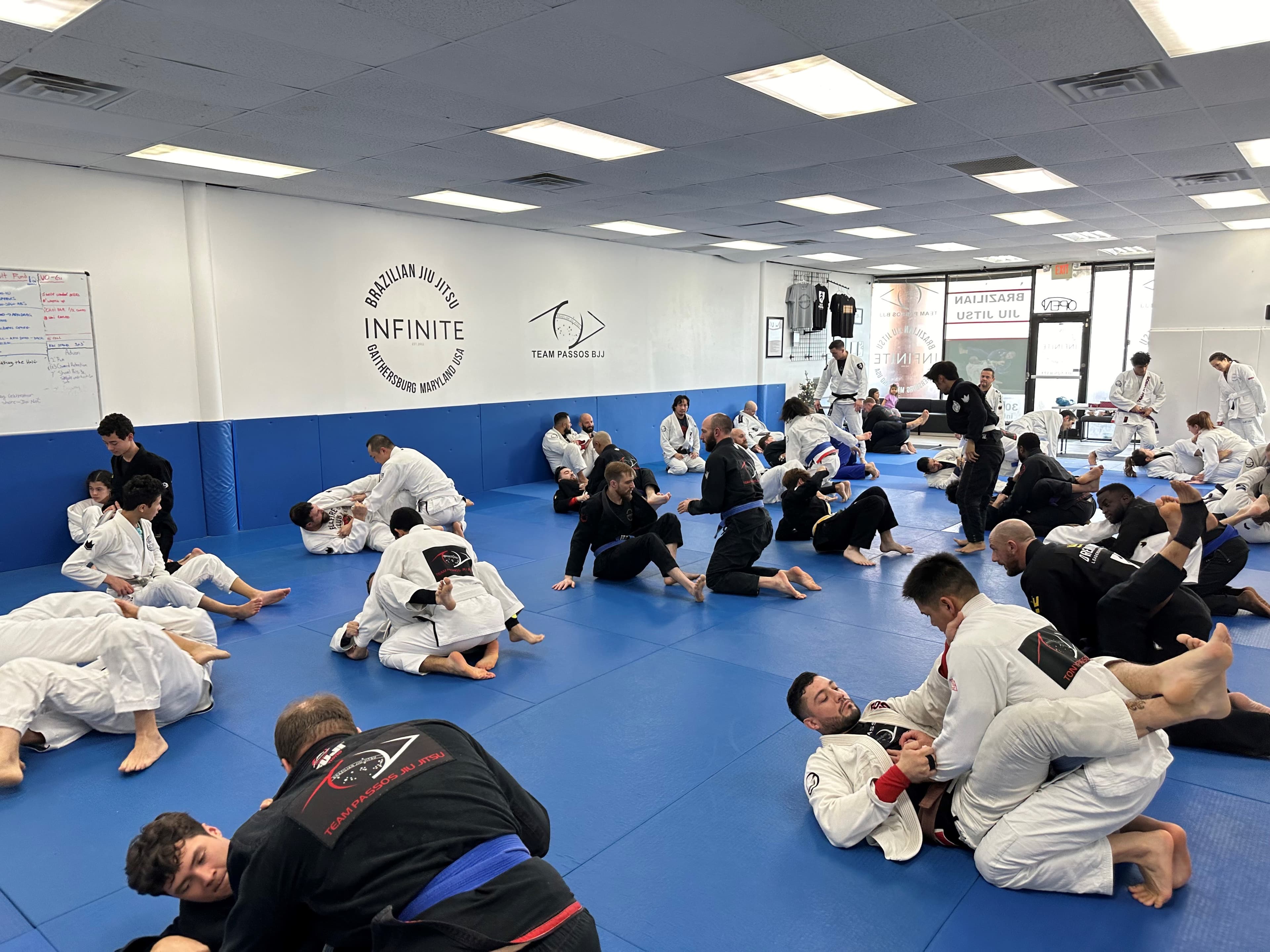 Main image of Infinite Brazilian Jiu Jitsu