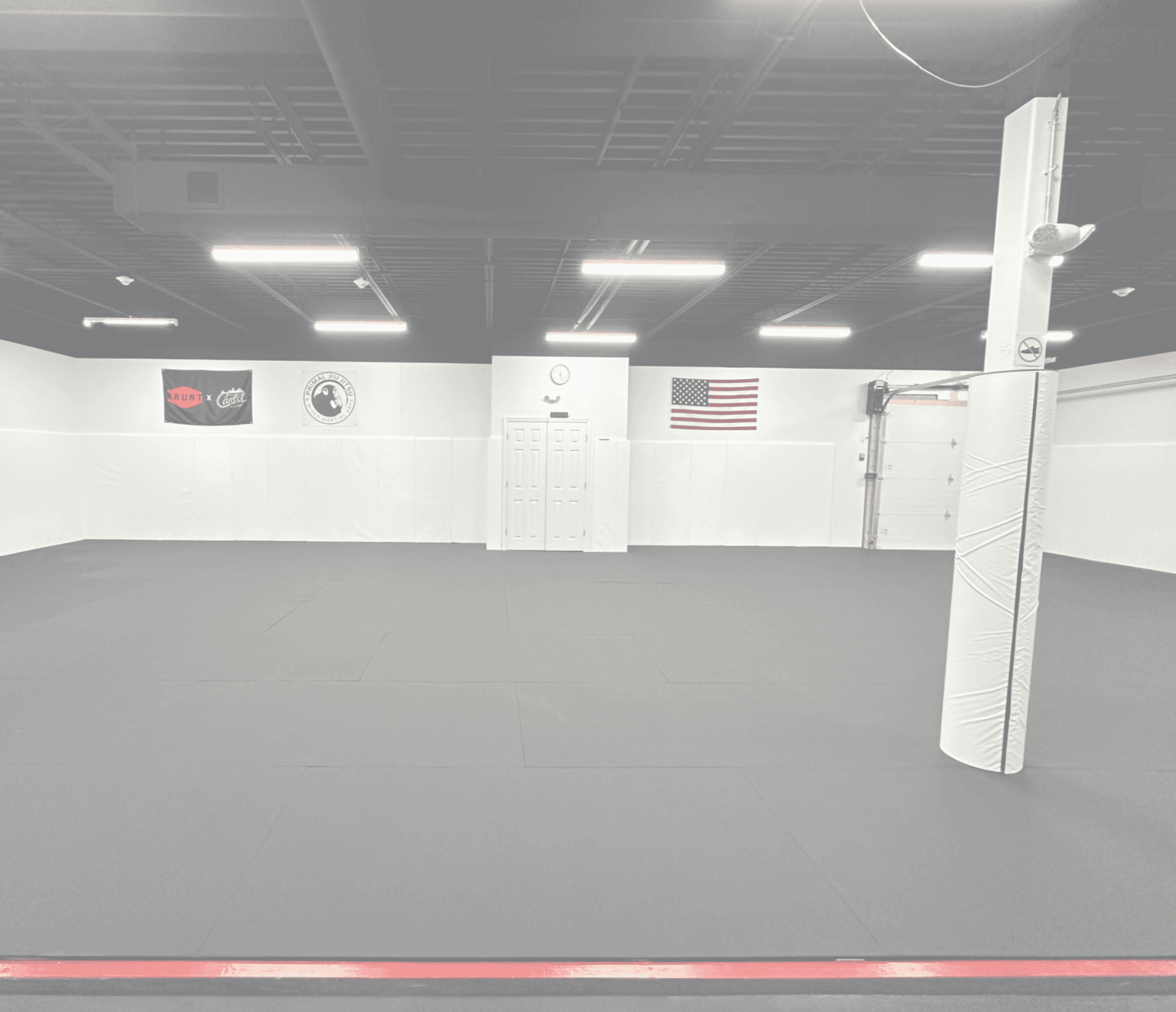 Primal Jiu Jitsu & Mixed Martial Arts logo