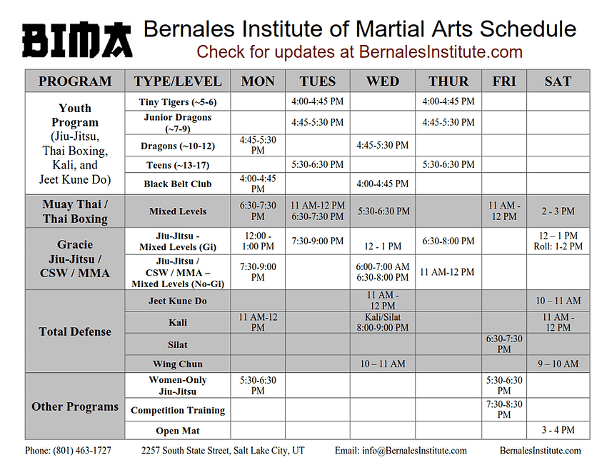 Main image of Bernales Institute of Martial Arts
