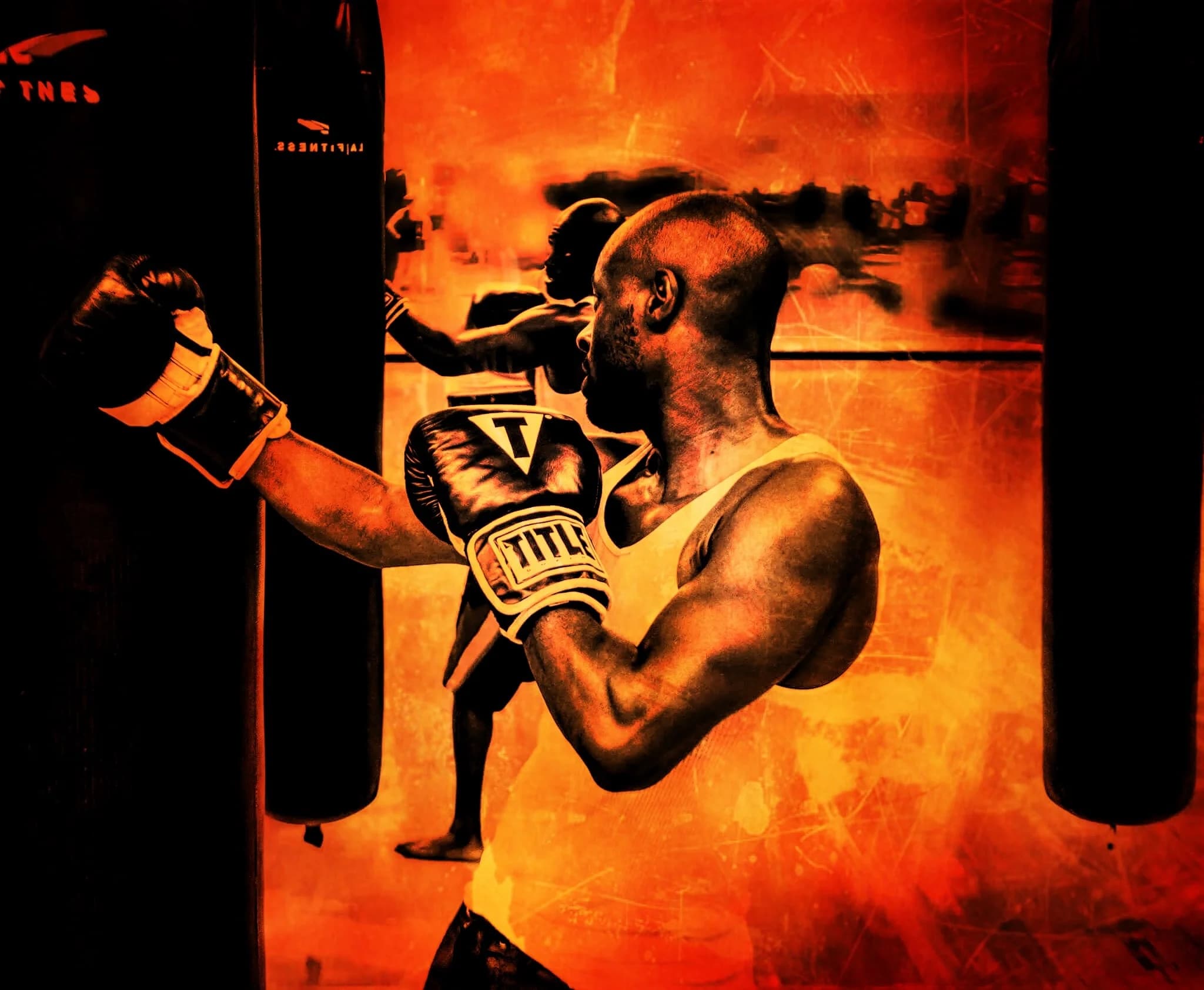 Main image of Bowman Systems MMA