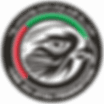 Tsuna Jiu Jitsu logo