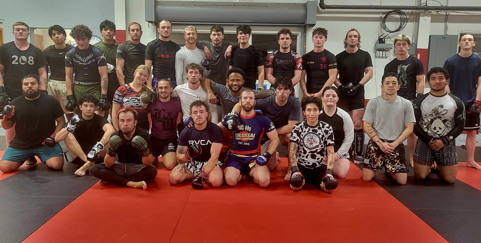 Main image of Colossal Fight Company
