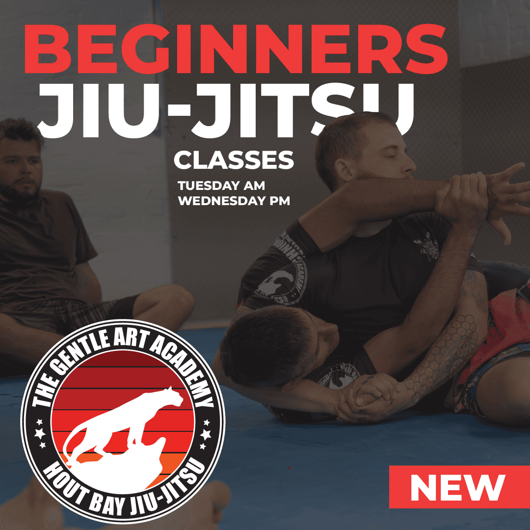Hout Bay Jiujitsu Academy logo