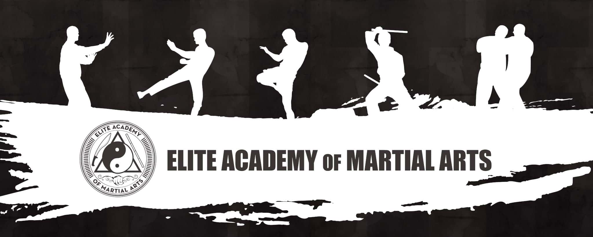 Main image of Elite Academy of Martial Arts, est. 2012