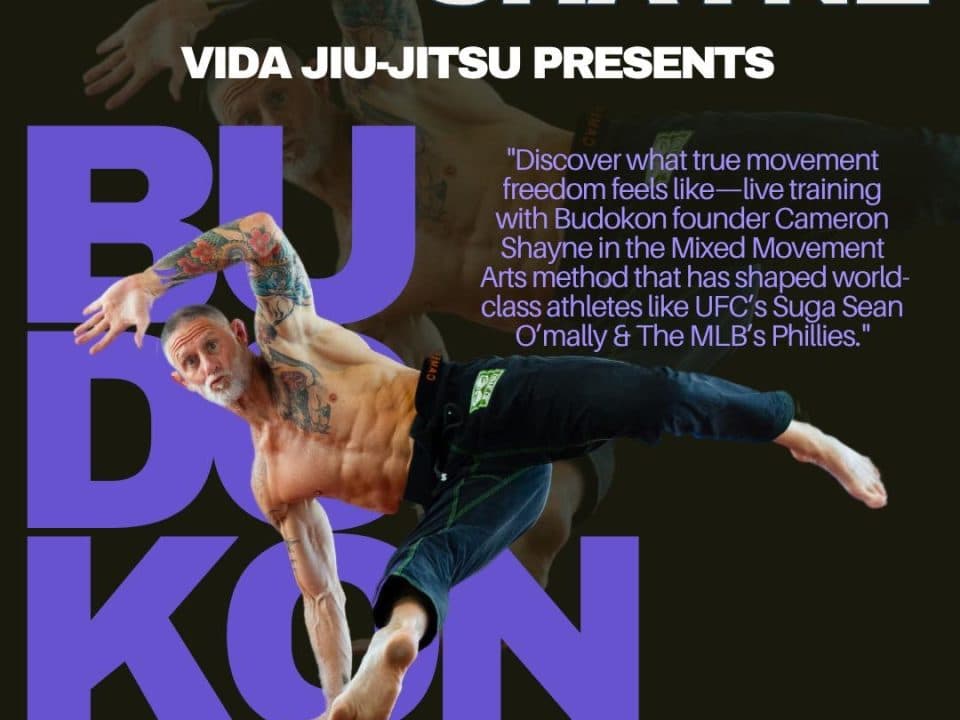 Main image of Vida Jiu-Jitsu