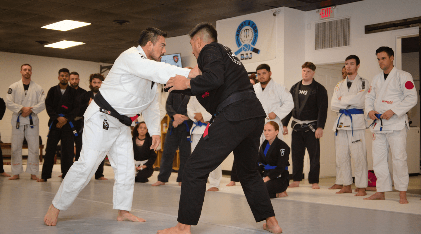 Main image of Bonsai Jiu-Jitsu Academy - NC