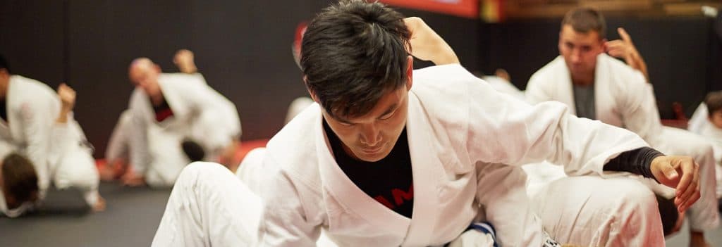 Ultimate MMA & Jiu-jitsu Training Center logo