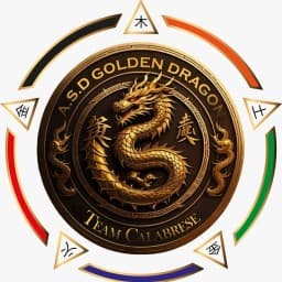 A.S.D GOLDEN DRAGON logo