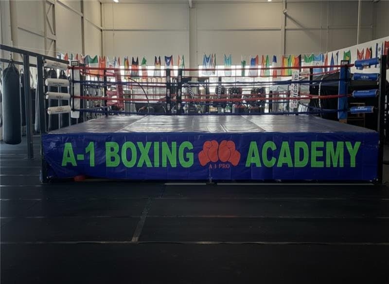 A1 Boxing Academy logo