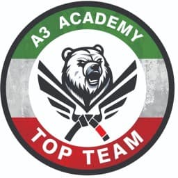 A3 Academy logo