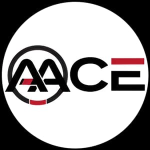 Main image of AACE Martial Arts Academy
