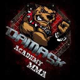 Academy MMA Damask logo