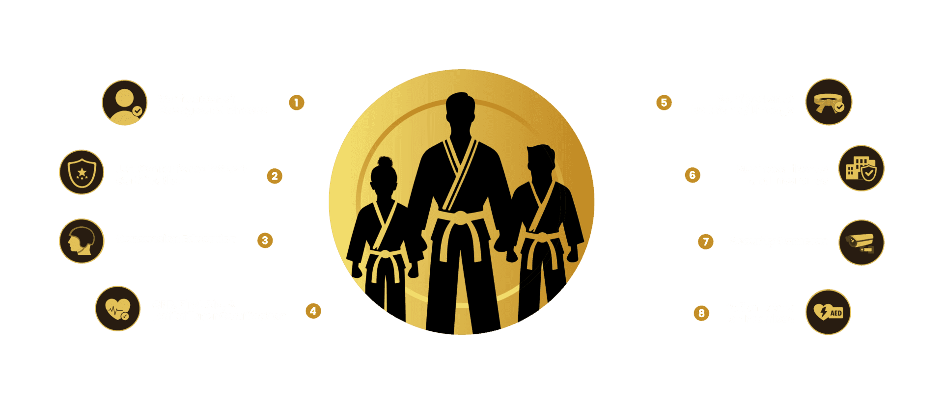Main image of Academy Safe