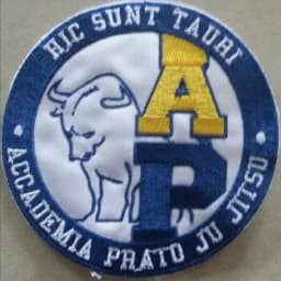 Accademia Prato Ju Jitsu logo